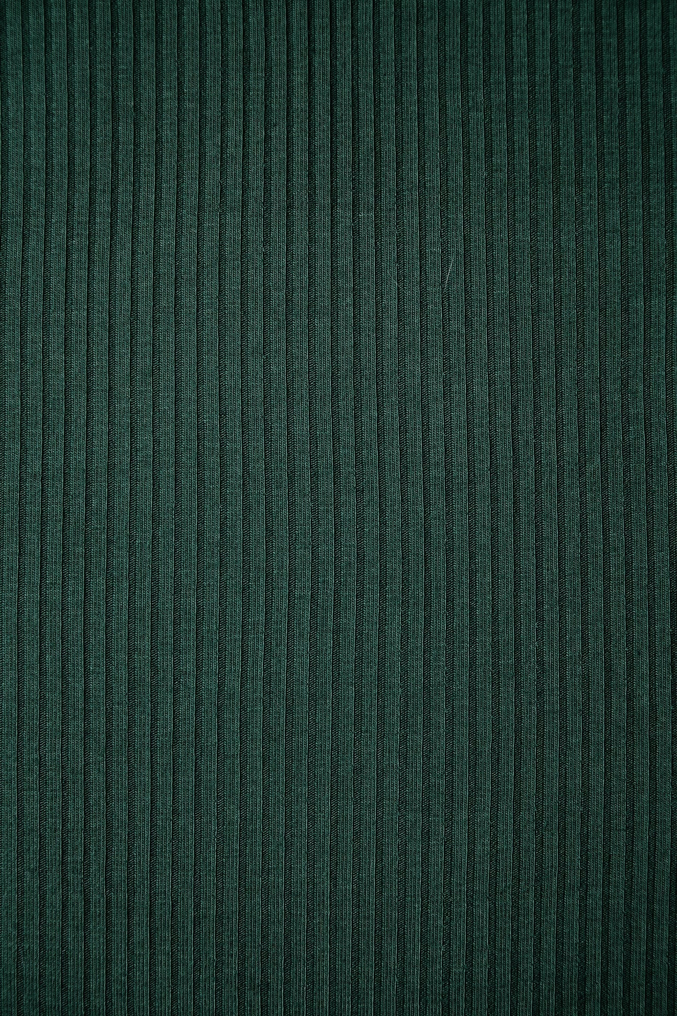 Derby Ribbed Jersey